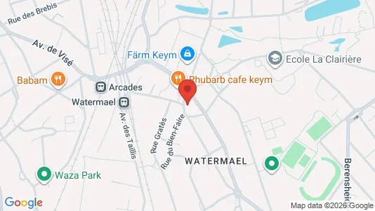 Apartments for rent i Brussels Watermaal-Bosvoorde - kort over placeringen