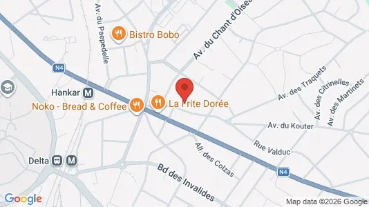 Apartments for rent i Brussels Oudergem - kort over placeringen