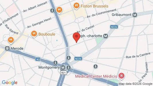 Apartments for rent i Brussels Sint-Lambrechts-Woluwe - kort over placeringen