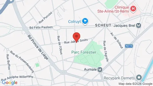 Apartments for rent i Brussels Anderlecht - kort over placeringen