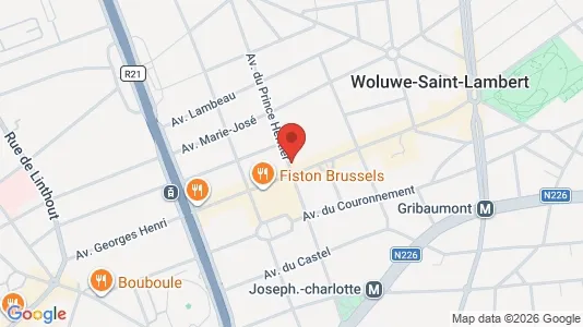 Apartments for rent i Brussels Sint-Lambrechts-Woluwe - kort over placeringen