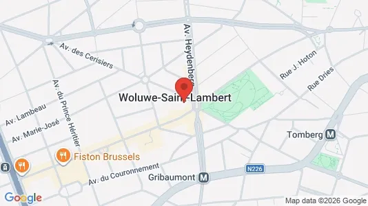 Apartments for rent i Brussels Sint-Lambrechts-Woluwe - kort over placeringen