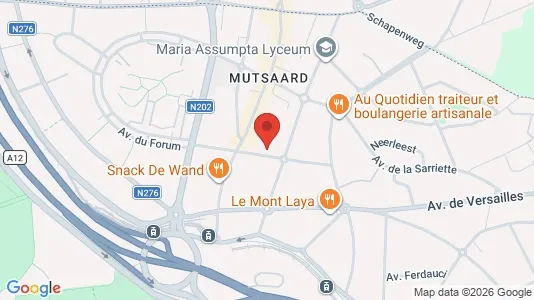 Apartments for rent i Stad Brussel - kort over placeringen