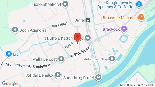 Apartments for rent i Duffel - kort over placeringen