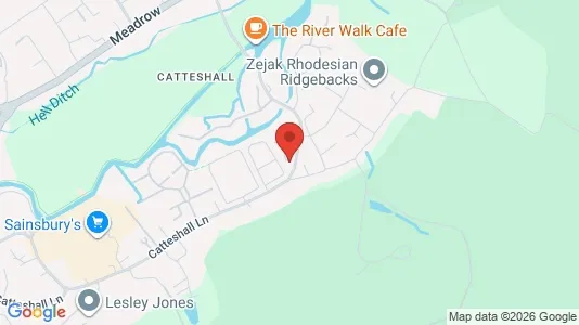 Apartments for rent i Godalming - Surrey - kort over placeringen