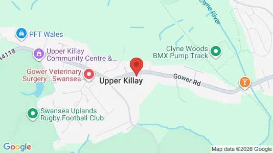 Apartments for rent i Swansea - West Glamorgan - kort over placeringen