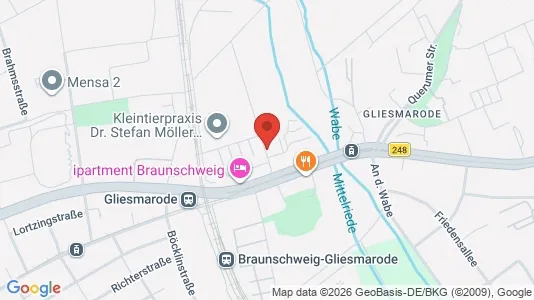 Apartments for rent i Braunschweig - kort over placeringen