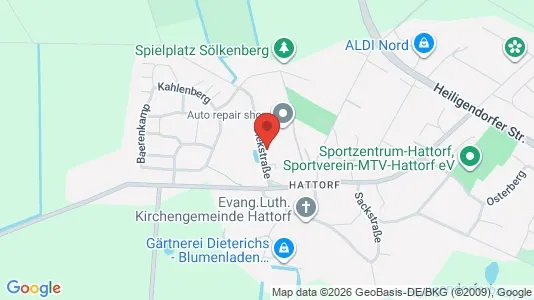 Apartments for rent i Wolfsburg - kort over placeringen