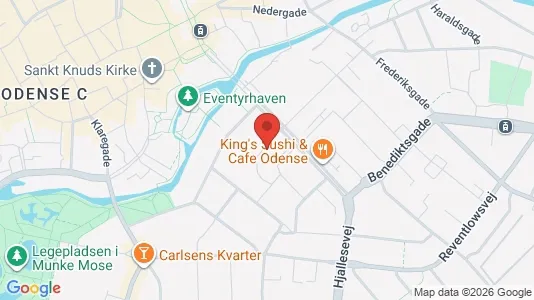 Apartments for rent i Odense C - kort over placeringen