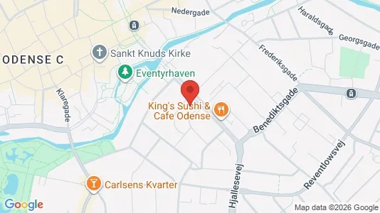 Apartments for rent i Odense C - kort over placeringen