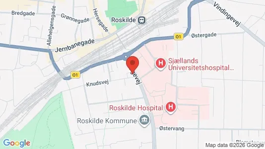 Apartments for rent i Roskilde - kort over placeringen
