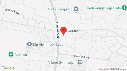 Apartments for rent i Viborg - kort over placeringen
