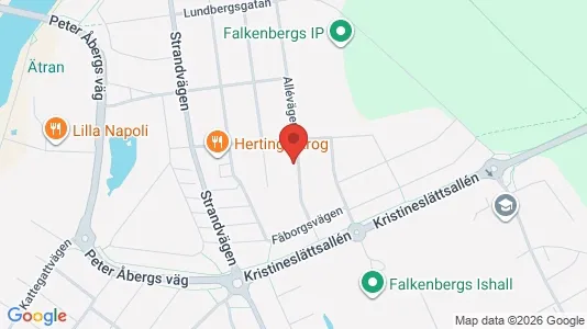 Apartments for rent i Falkenberg - kort over placeringen