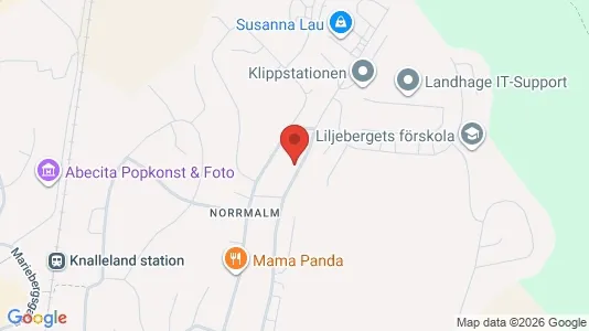 Apartments for rent i Borås - kort over placeringen