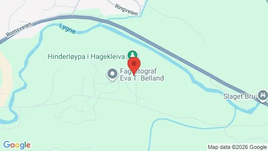 Apartments for rent i Lyngdal - kort over placeringen