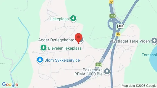 Apartments for rent i Grimstad - kort over placeringen