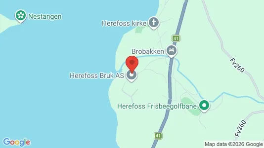 Apartments for rent i Birkenes - kort over placeringen