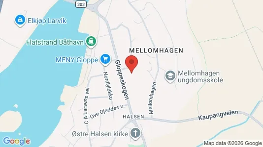 Apartments for rent i Larvik - kort over placeringen