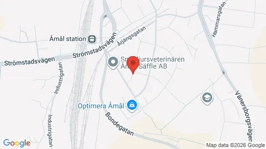 Apartments for rent i Åmål - kort over placeringen