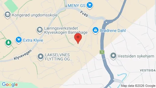 Rooms for rent i Skien - kort over placeringen