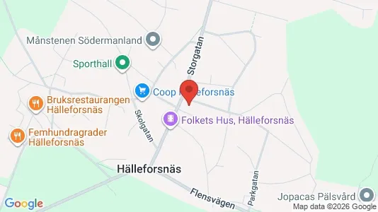 Apartments for rent i Flen - kort over placeringen