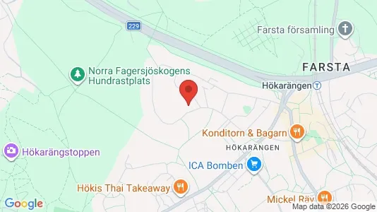 Apartments for rent i Stockholm South - kort over placeringen