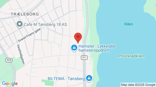 Apartments for rent i Tønsberg - kort over placeringen