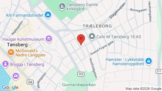 Apartments for rent i Tønsberg - kort over placeringen