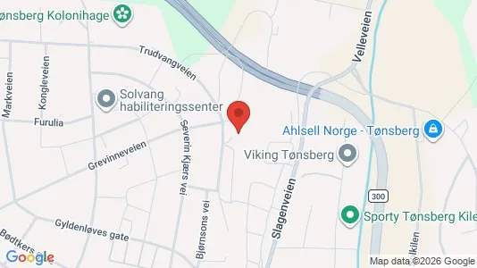 Rooms for rent i Tønsberg - kort over placeringen