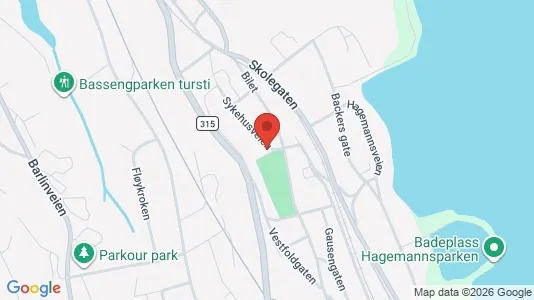 Apartments for rent i Holmestrand - kort over placeringen