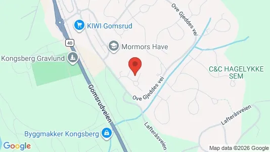 Apartments for rent i Kongsberg - kort over placeringen