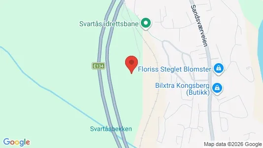 Apartments for rent i Kongsberg - kort over placeringen