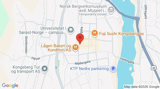 Apartments for rent i Kongsberg - kort over placeringen