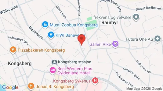 Apartments for rent i Kongsberg - kort over placeringen