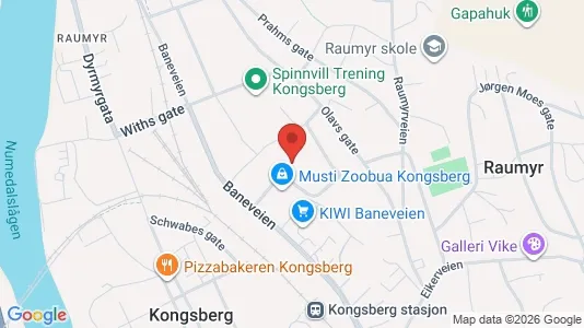 Apartments for rent i Kongsberg - kort over placeringen