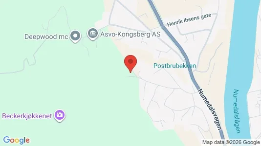 Rooms for rent i Kongsberg - kort over placeringen