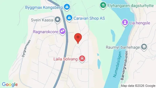 Rooms for rent i Kongsberg - kort over placeringen