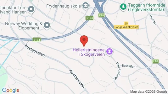Apartments for rent i Drammen - kort over placeringen