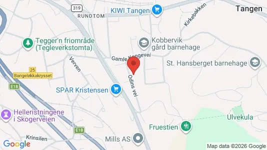 Apartments for rent i Drammen - kort over placeringen