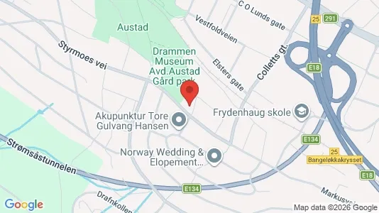 Rooms for rent i Drammen - kort over placeringen