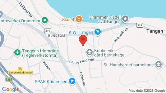 Apartments for rent i Drammen - kort over placeringen
