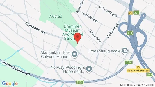 Rooms for rent i Drammen - kort over placeringen