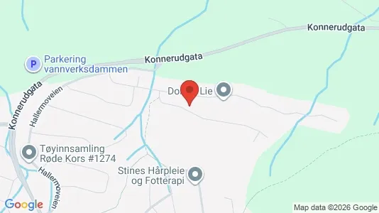 Rooms for rent i Drammen - kort over placeringen