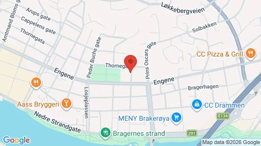 Apartments for rent i Drammen - kort over placeringen