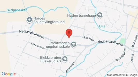 Apartments for rent i Nedre Eiker - kort over placeringen