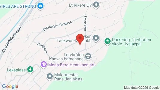Apartments for rent i Røyken - kort over placeringen