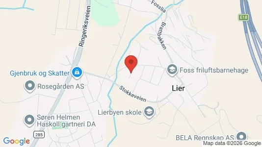 Apartments for rent i Lier - kort over placeringen