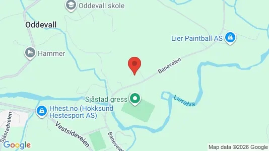 Rooms for rent i Lier - kort over placeringen