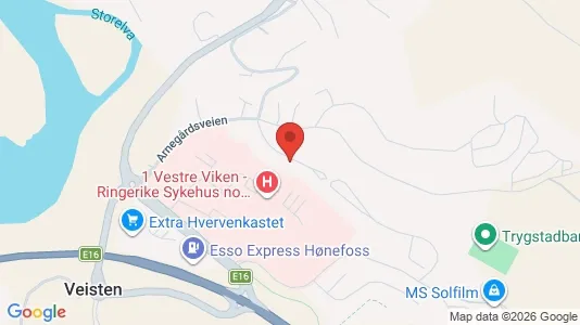 Rooms for rent i Ringerike - kort over placeringen