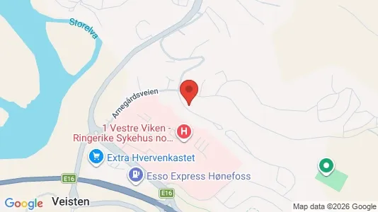 Apartments for rent i Ringerike - kort over placeringen